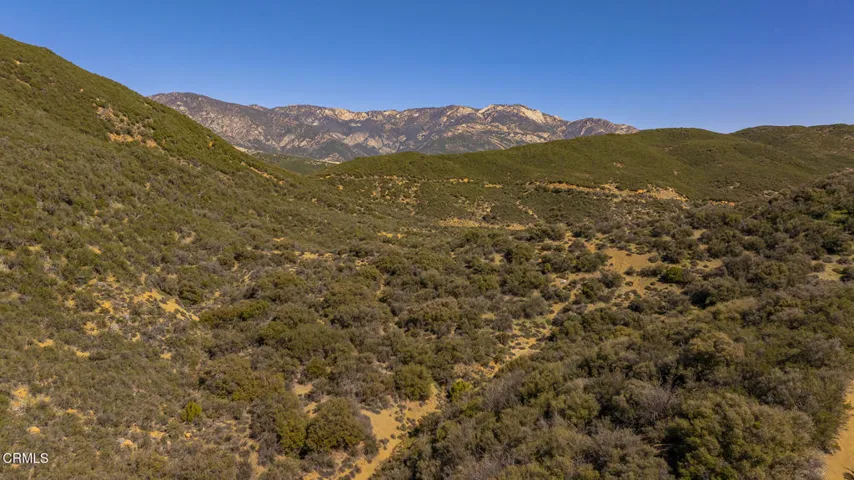 181 Rose Valley Rd_53