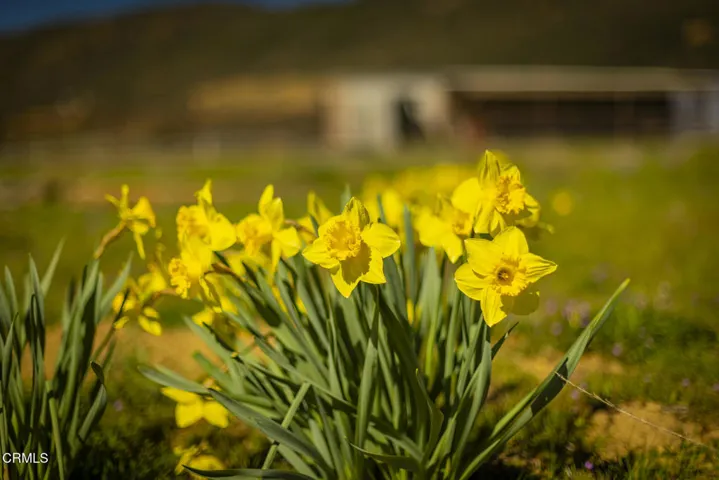 170 Rose Valley Rd_22