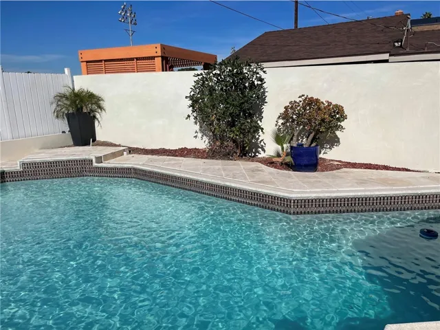 Current backyard