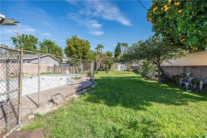 Pool & Yard