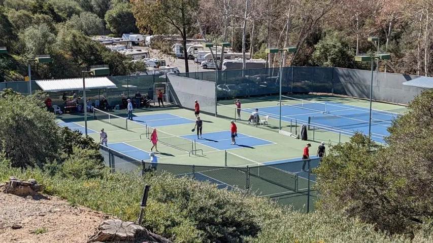 Tennis / Pickleball