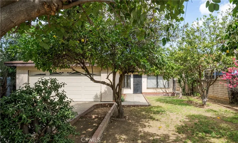 Fruit trees in front