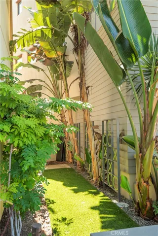 Side yard beyond the barbecue.