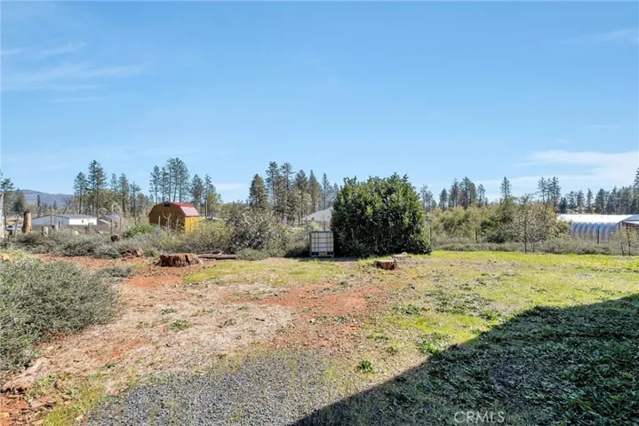 Back yard looking South