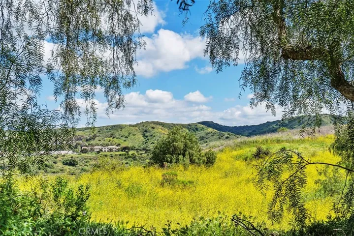 views from front of home of canyon across the street