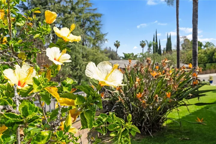 Mature flowering landscaping adds color and charm to the outdoor setting, enhancing the home’s lush, established yard.