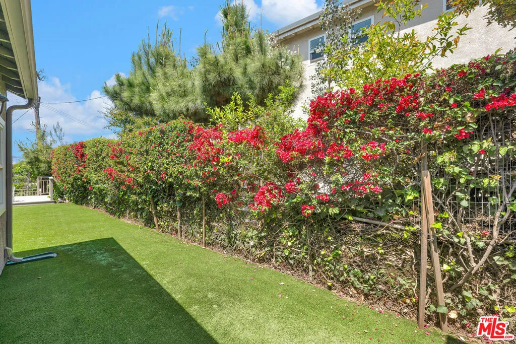 Side Yard