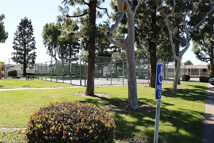 Community basketball court and tennis court