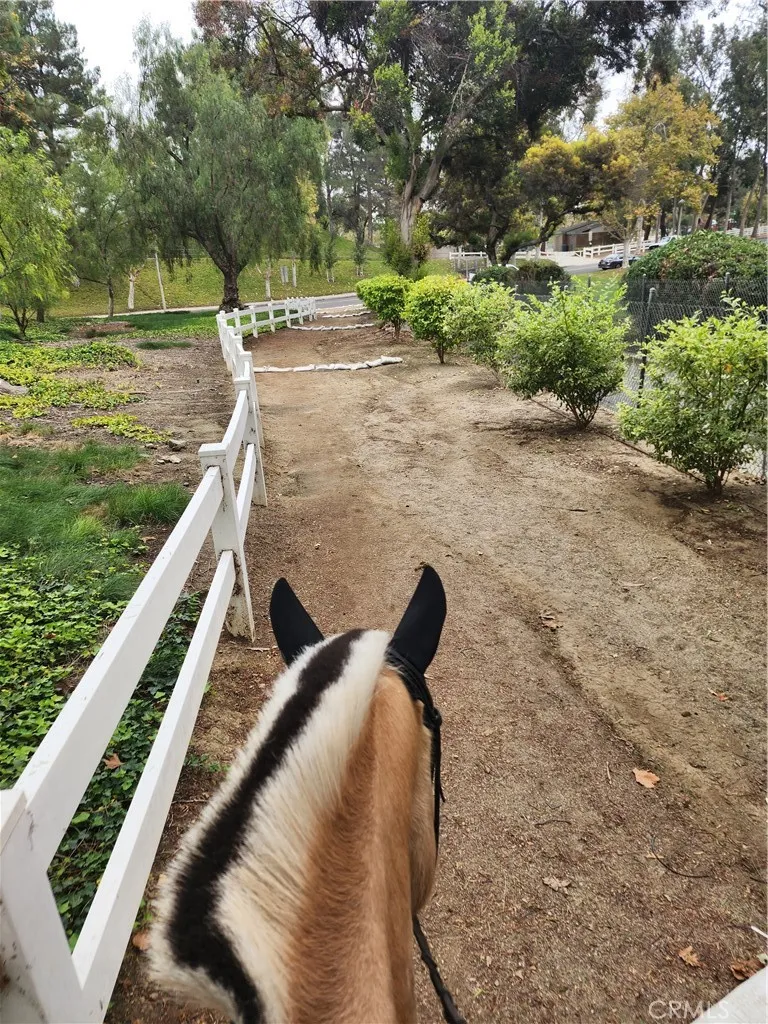 Enjoy the Yorba Linda trail system