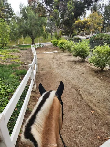 Enjoy the Yorba Linda trail system