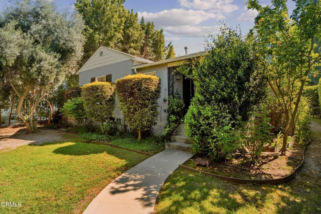 Front Yard