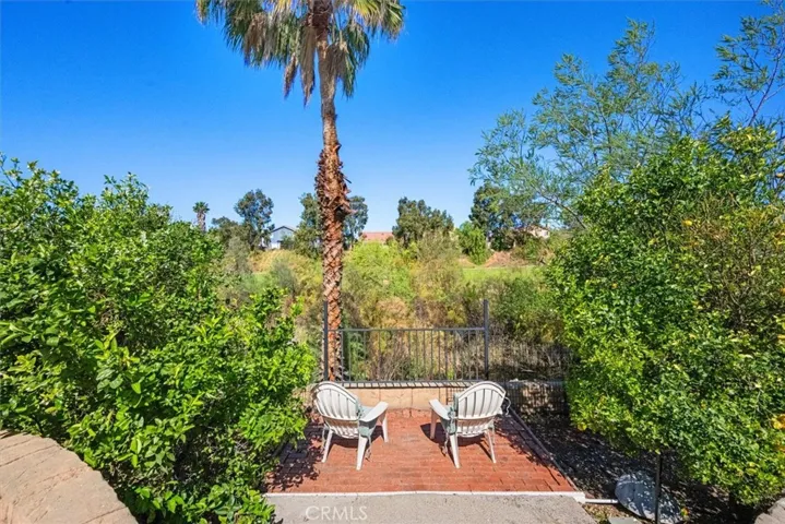 Back yard