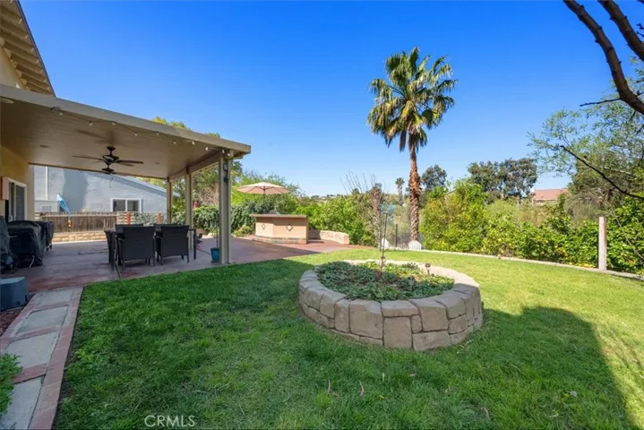 Back yard