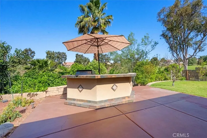 Back yard