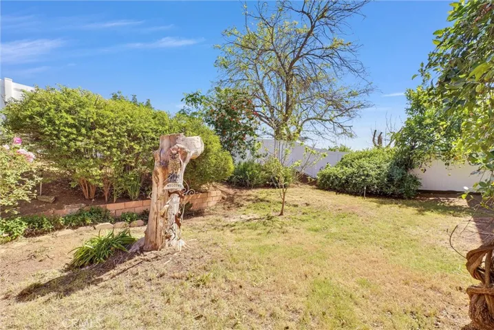 Side Yard