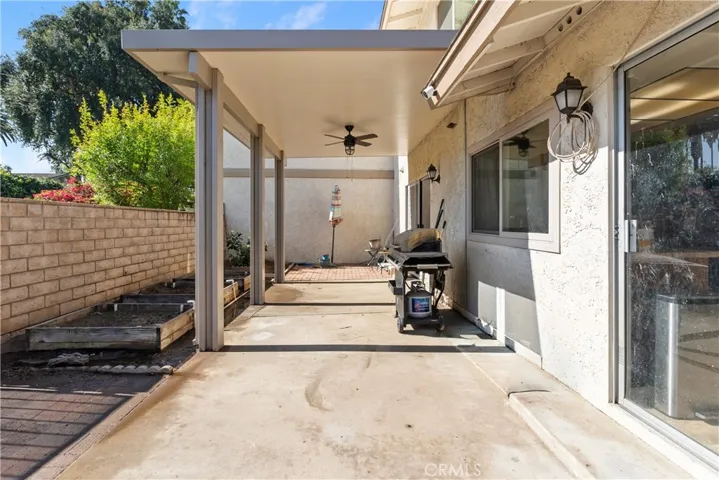 backyard and patio