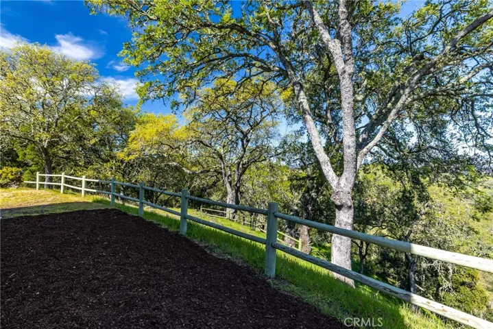 The mature trees surround the property and give it a divine sense of seclusion and privacy.