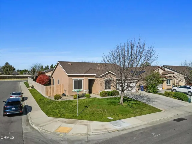 03-Illuminate Photography -  9014 Cadbur