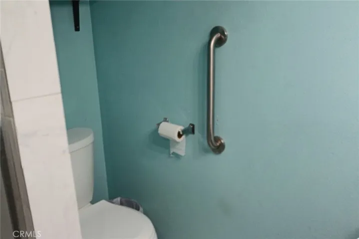 Primary Bathroom Grab Bars