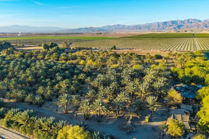 28-49300 Polk St (34)