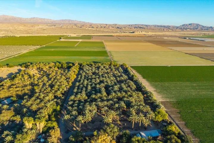 25-49300 Polk St (31)