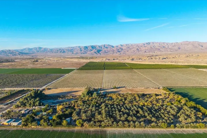 15-49300 Polk St (22)