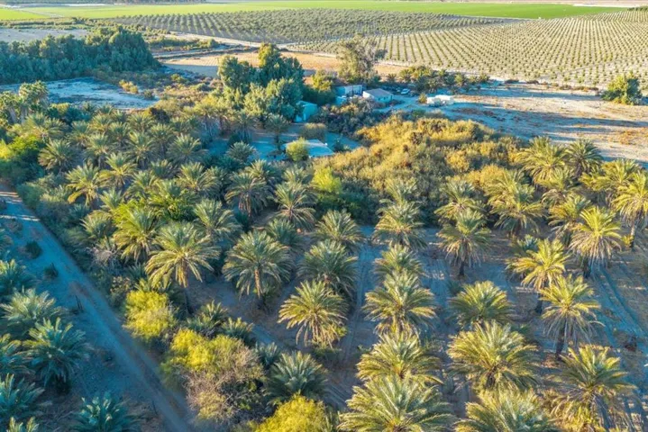 30-49300 Polk St (36)