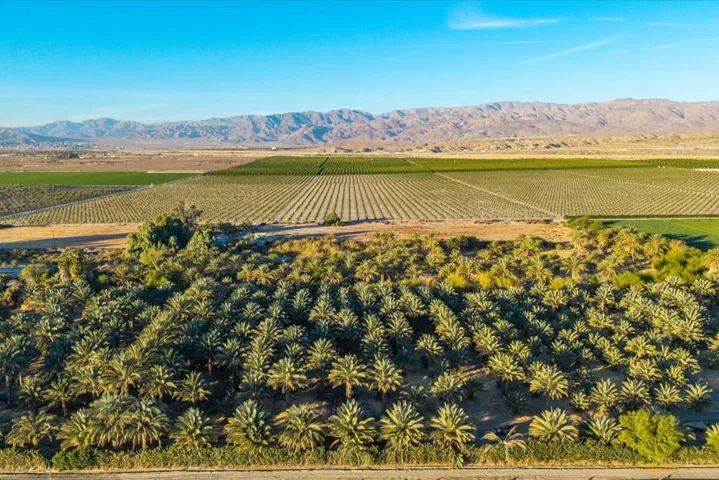 27-49300 Polk St (33)