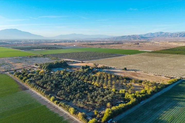 13-49300 Polk St (20)