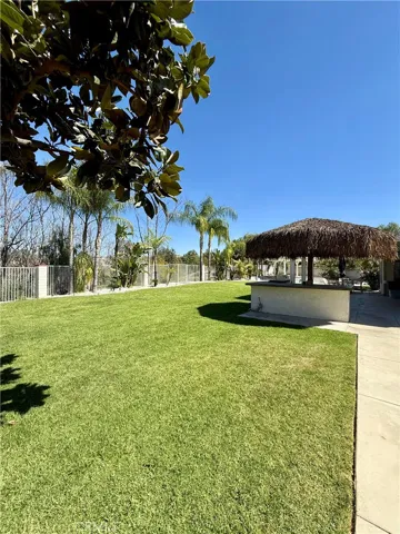 Built -in BBQ with tiki hut