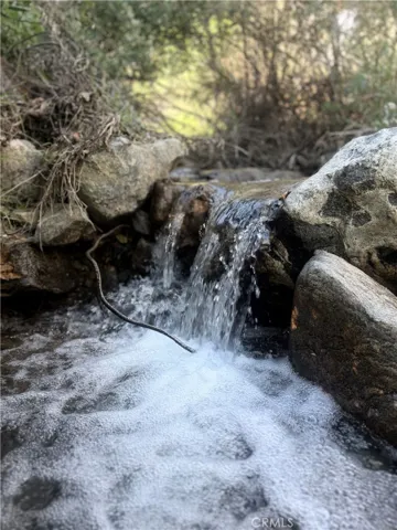 Stream behind Land and gate