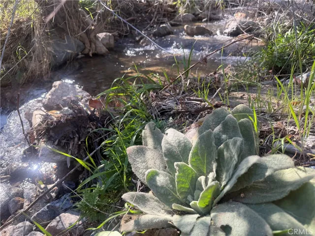 Stream behind Land and gate