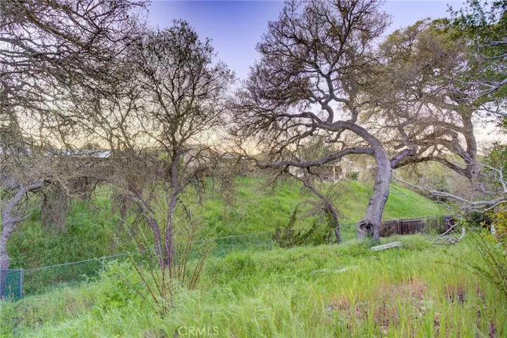 lower portion of backyard