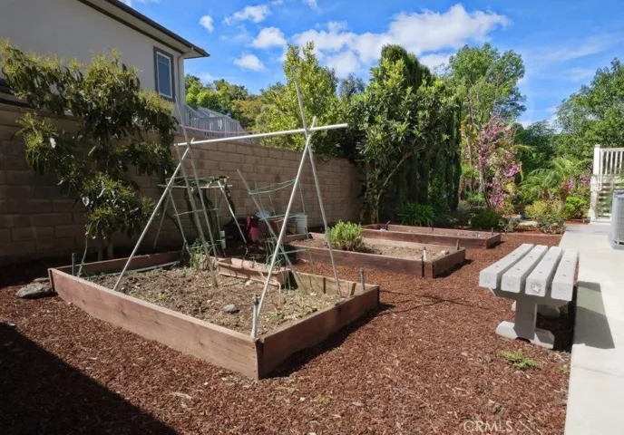 Vegetable Garden