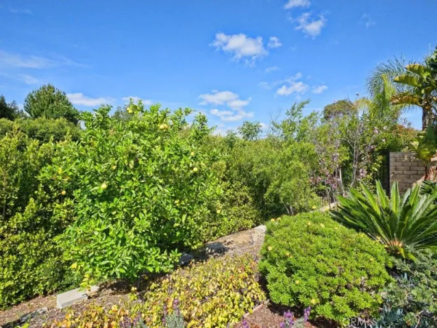 Fruit Trees in Backyard Garden