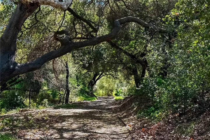 Community walking trail