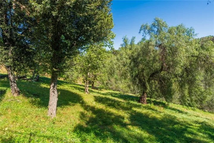 Yard includes native CA Sycamore trees, Pepper trees, and Coastal Live Oak trees
