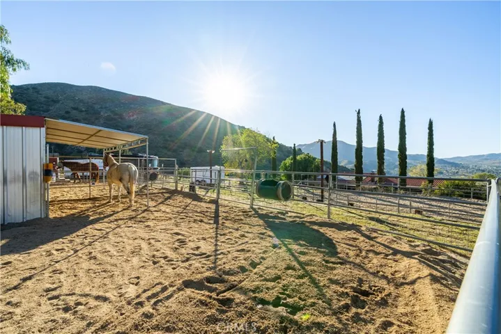 Horse Corrals