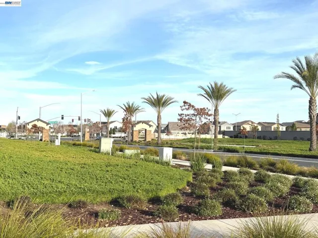 Elegant palm-tree-lined entrance road to the community