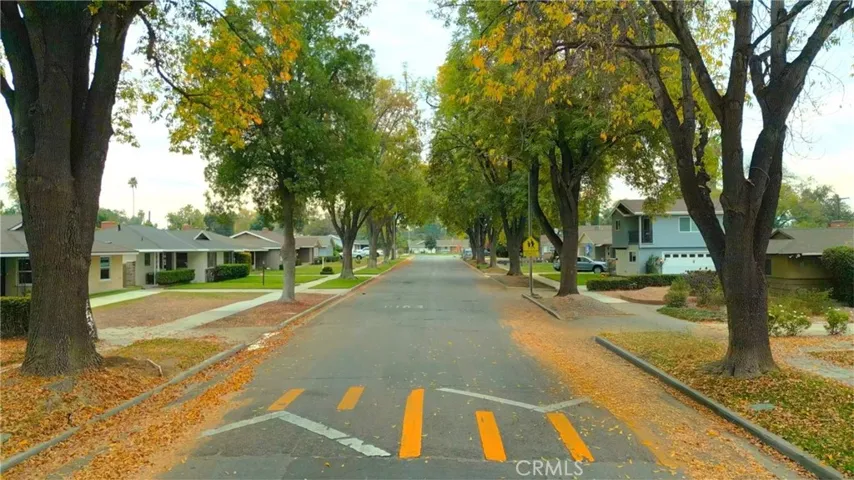TREE LINED STREET