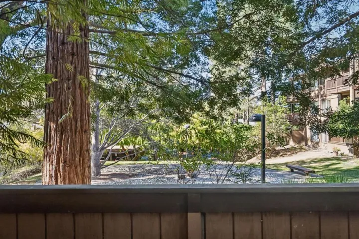 3314 Brittan Avenue 1, San Carlos, California 94070