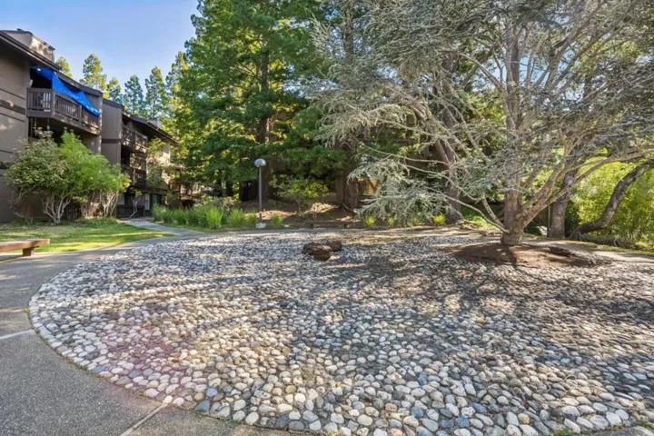 3314 Brittan Avenue 1, San Carlos, California 94070