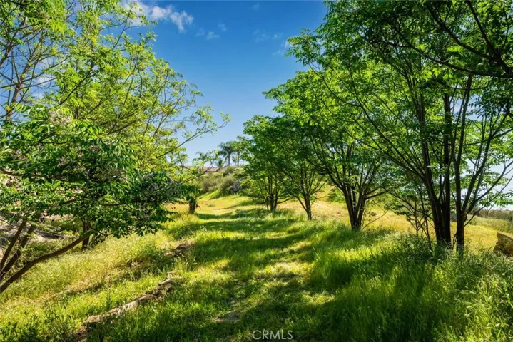 A graded path/drive amongst the wildflowers allows for versatile options on this property.