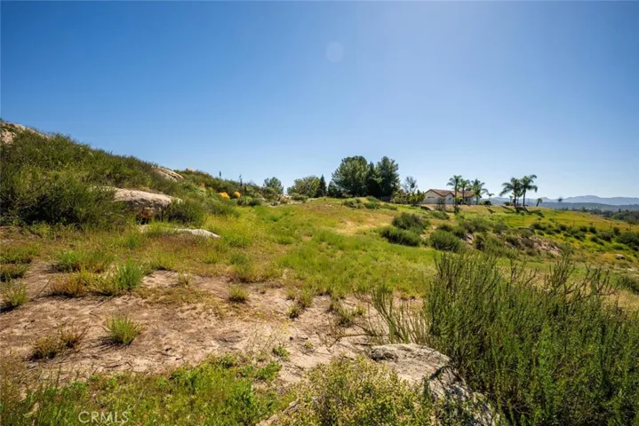 Upper end of the property line.