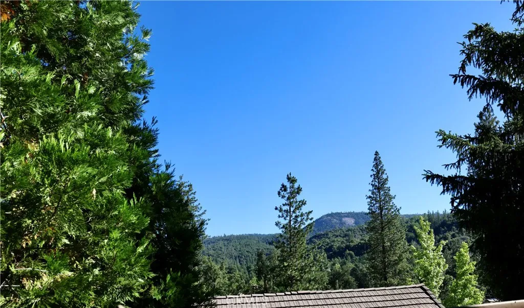 40547 Saddleback, Bass Lake, California 93604 — photo 4