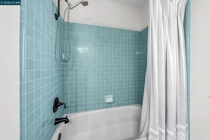 Lower Level Bathroom