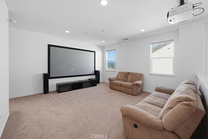 Loft/ screening room