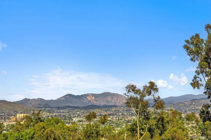 Panoramic View