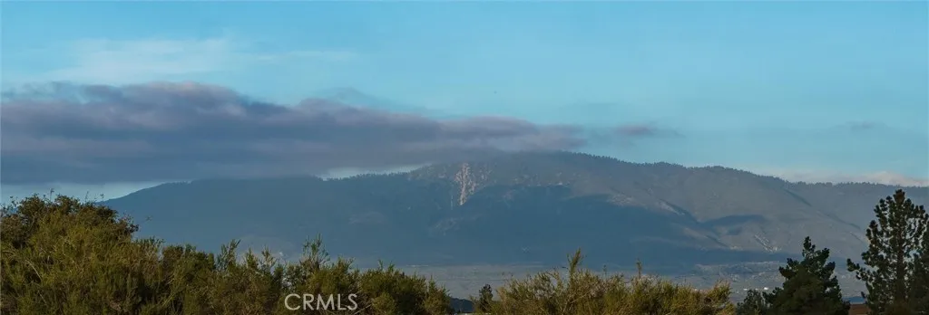 View of Mt. Cauhilla