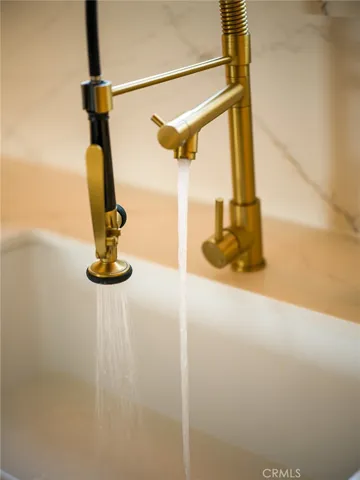 Kitchen faucet details